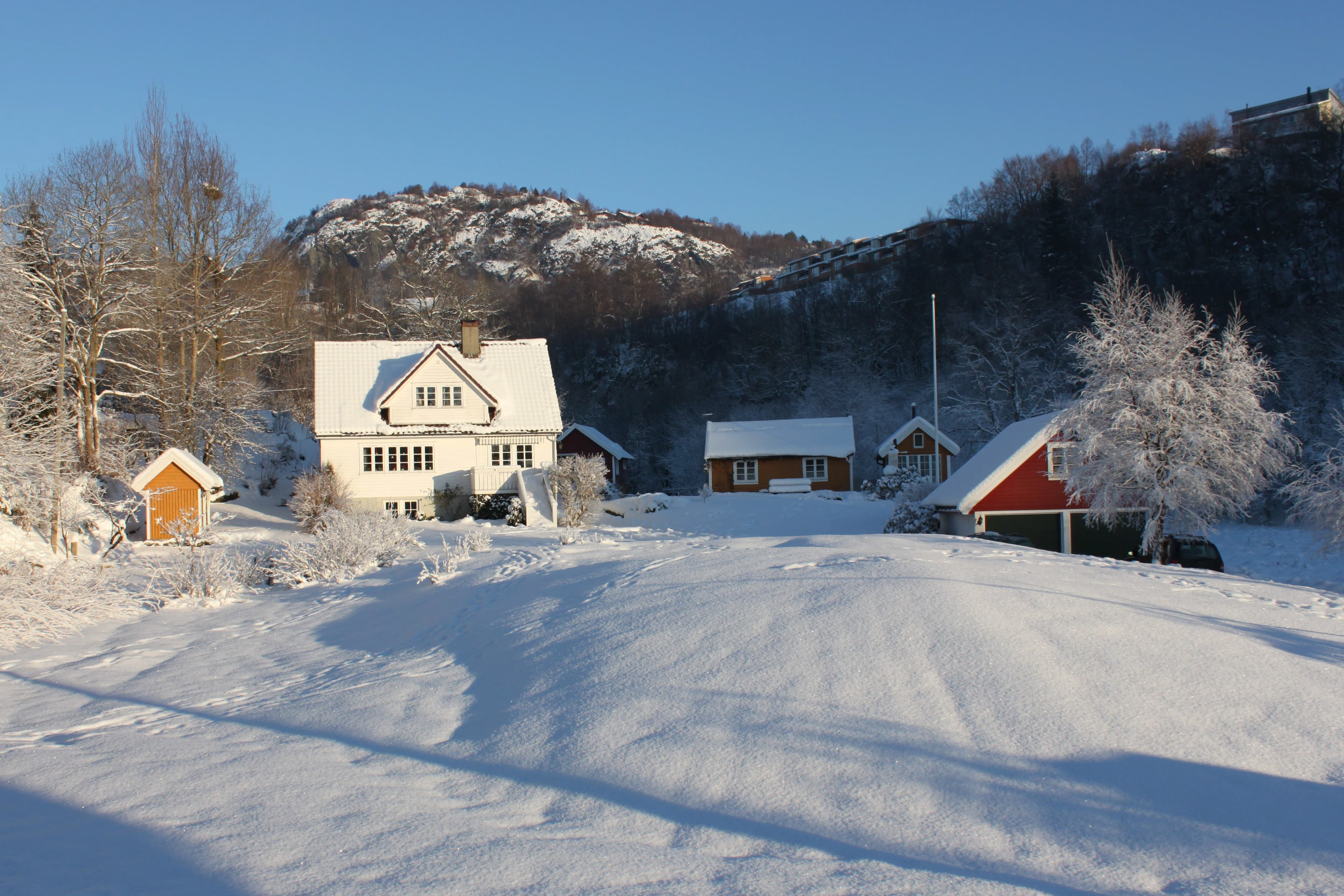 Natlandsmyren om vinteren